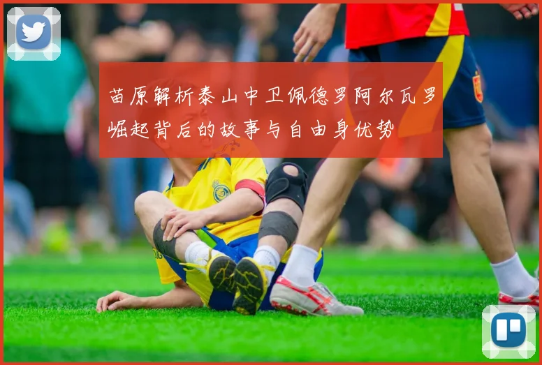 苗原解析泰山中卫佩德罗阿尔瓦罗崛起背后的故事与自由身优势